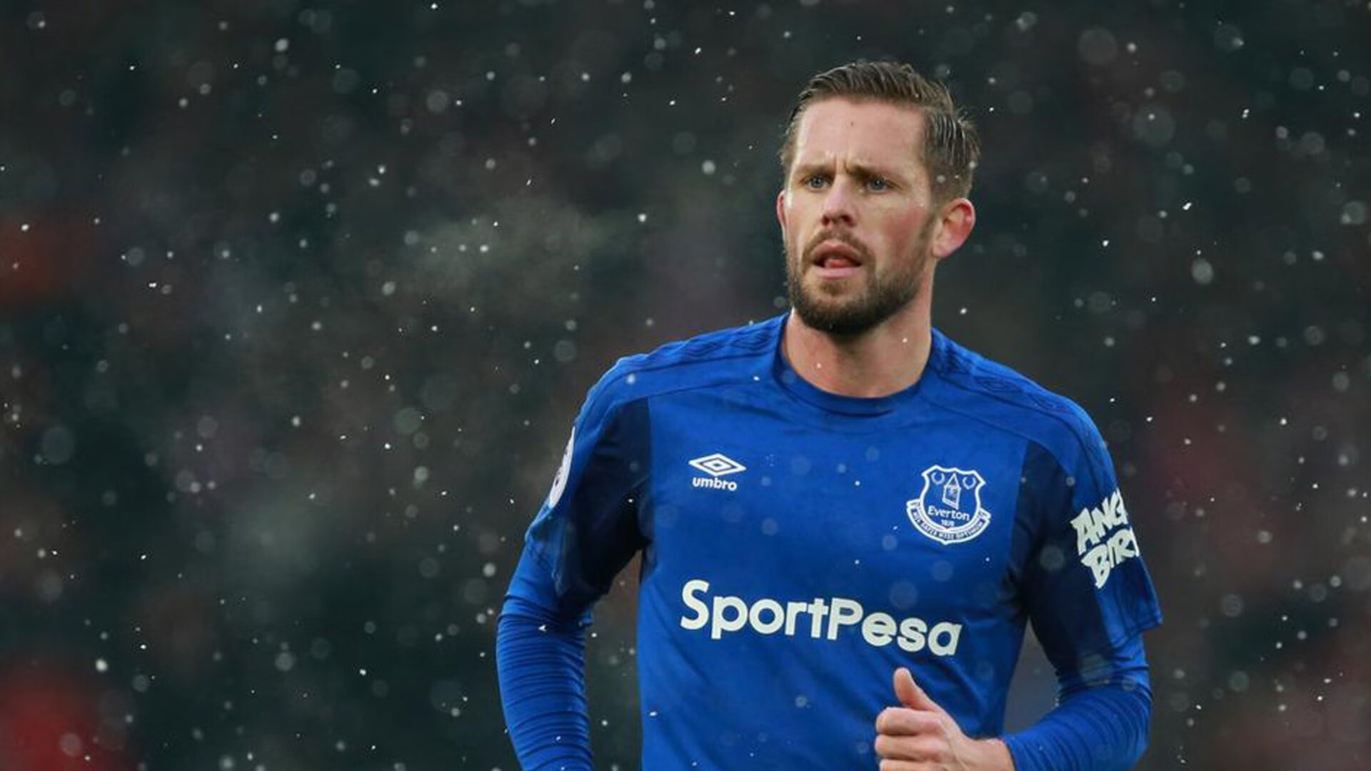 伊朗国家队备战世界杯,伊朗国家队世预赛名单